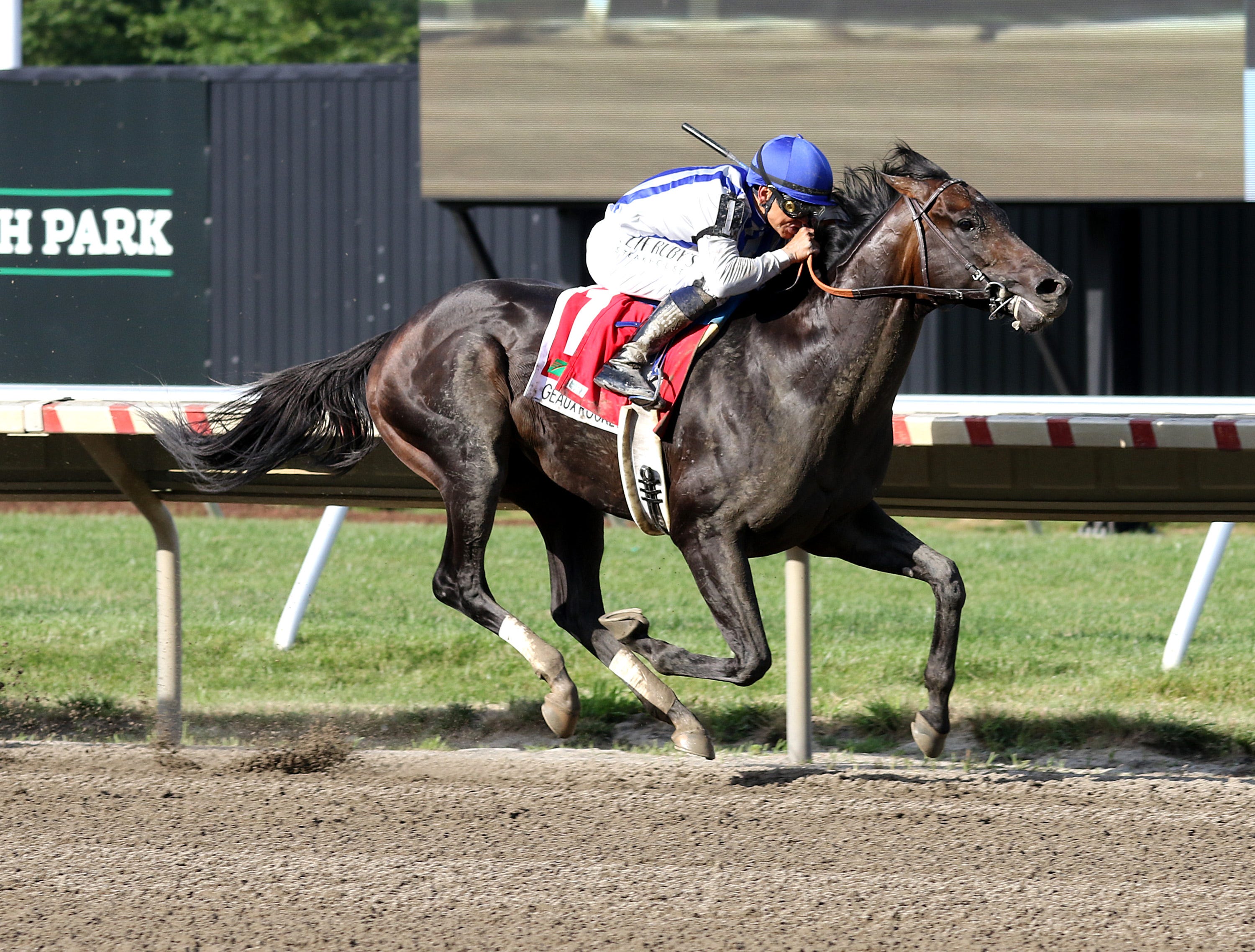 Geaux Rocket Ride tired after Haskell win, possible for Shared Belief